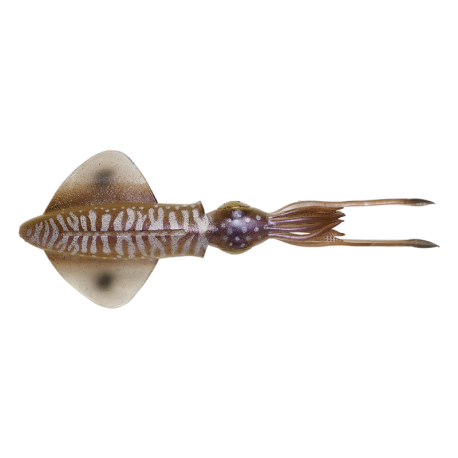 Savage Gear 3D Swim Squid 25 calamares artificiales