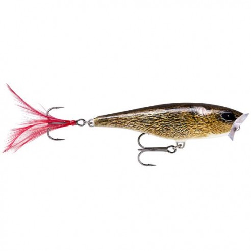 Rapala Skitter Pop 07 esca artificiale da 7 gr.