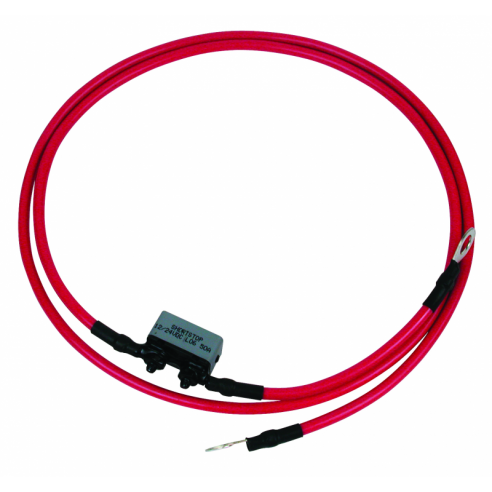 Cable de batería 50 A con terminales - Motorguide